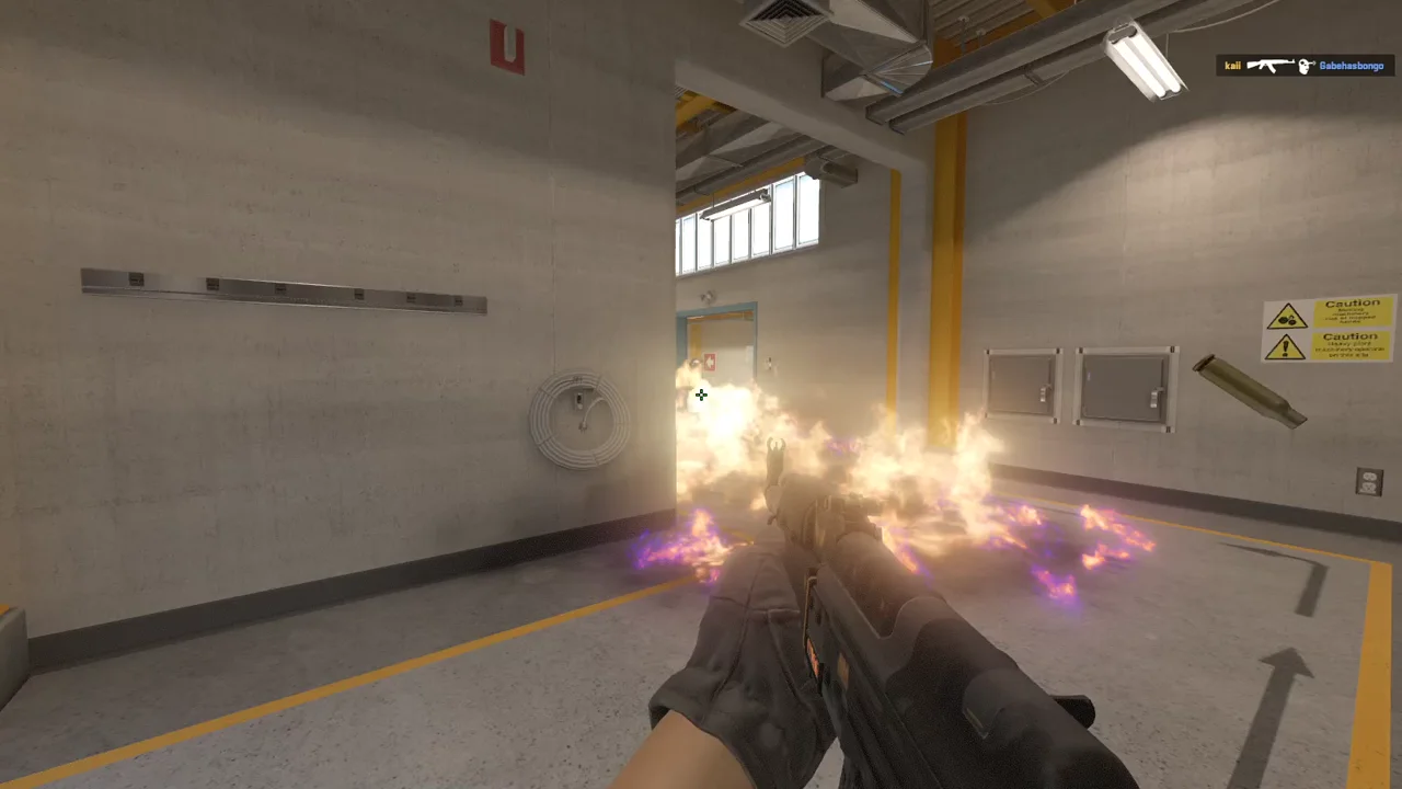 highlight